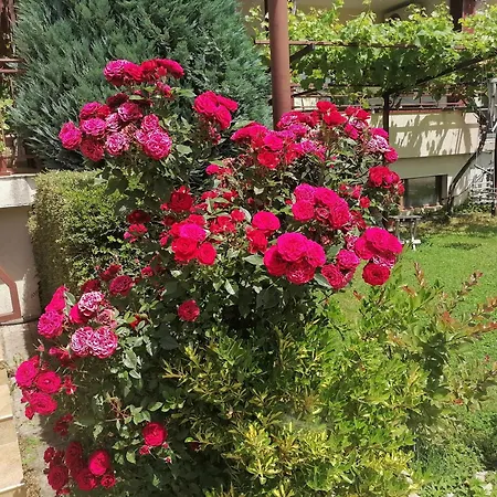 St. George 2* Sveti Vlas