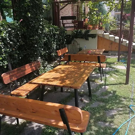 St. George سفيتي فلاس