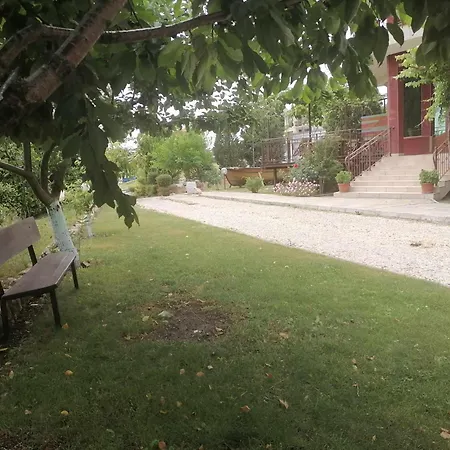 بيت ضيافة St. George