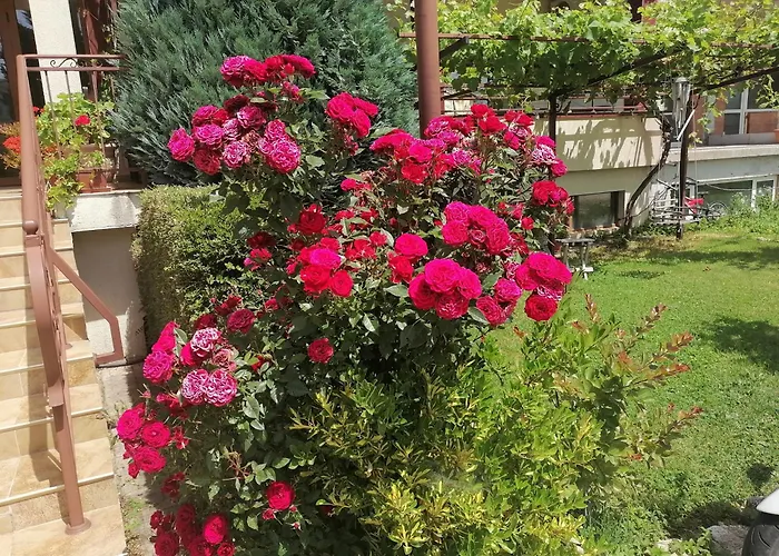 St. George 2* Święty Włas